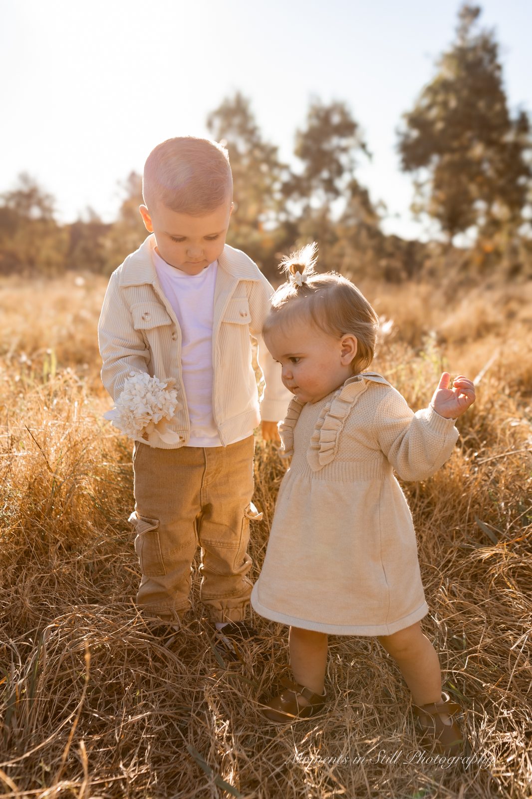Siblings lifestyle photography in a field, Sydney
